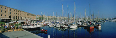 Sailboats at a Harbor, Barcelona, Catalonia, Spain
